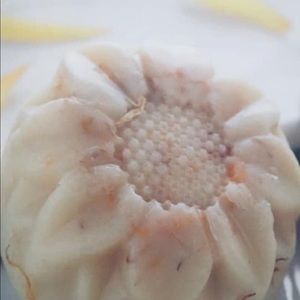 Botanical Beauty Products